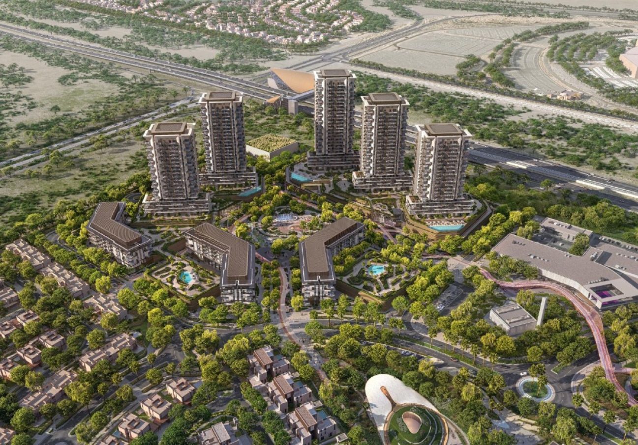 Asset 1 (Large) (Medium)