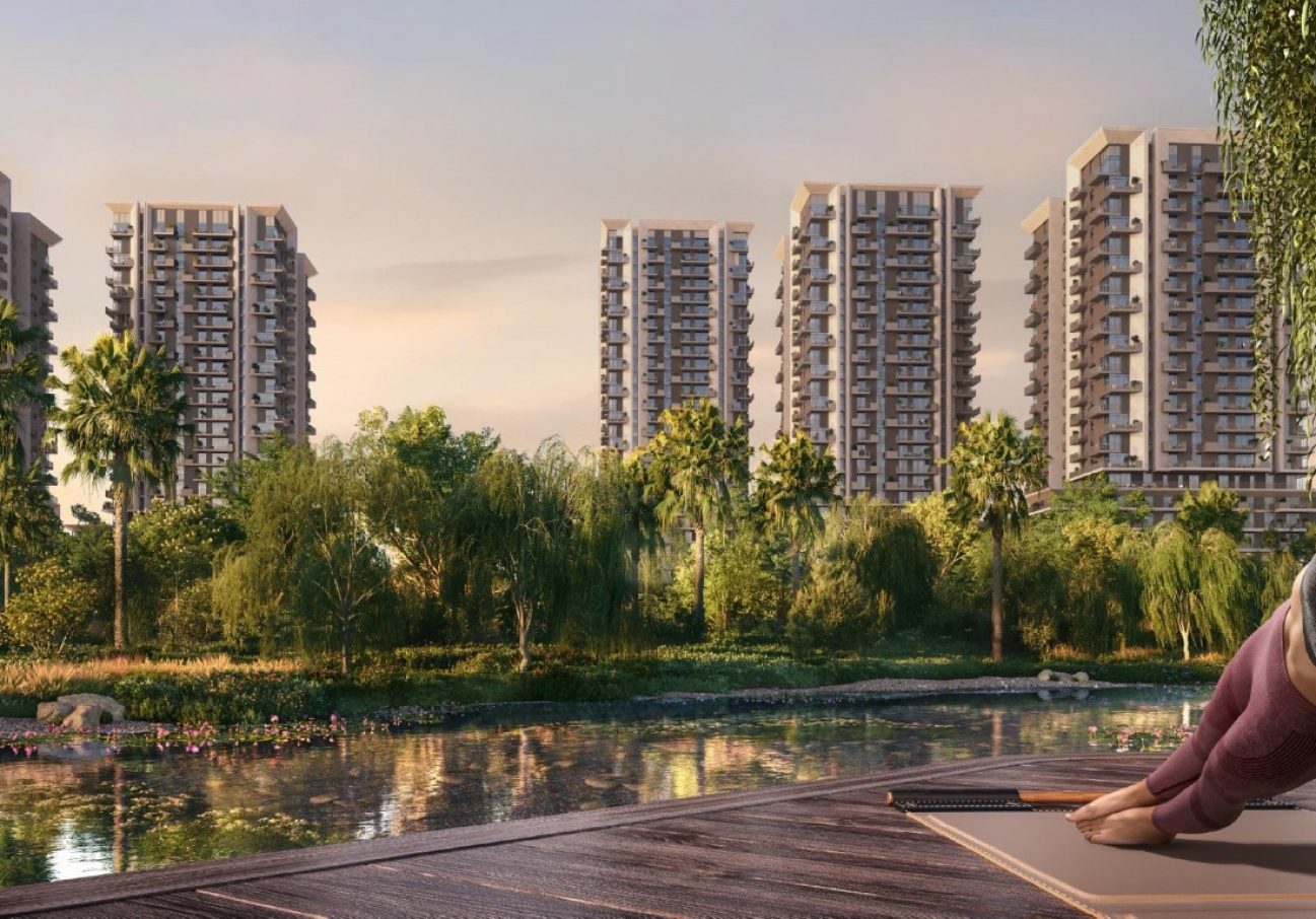 Asset 15 (Large) (Medium)