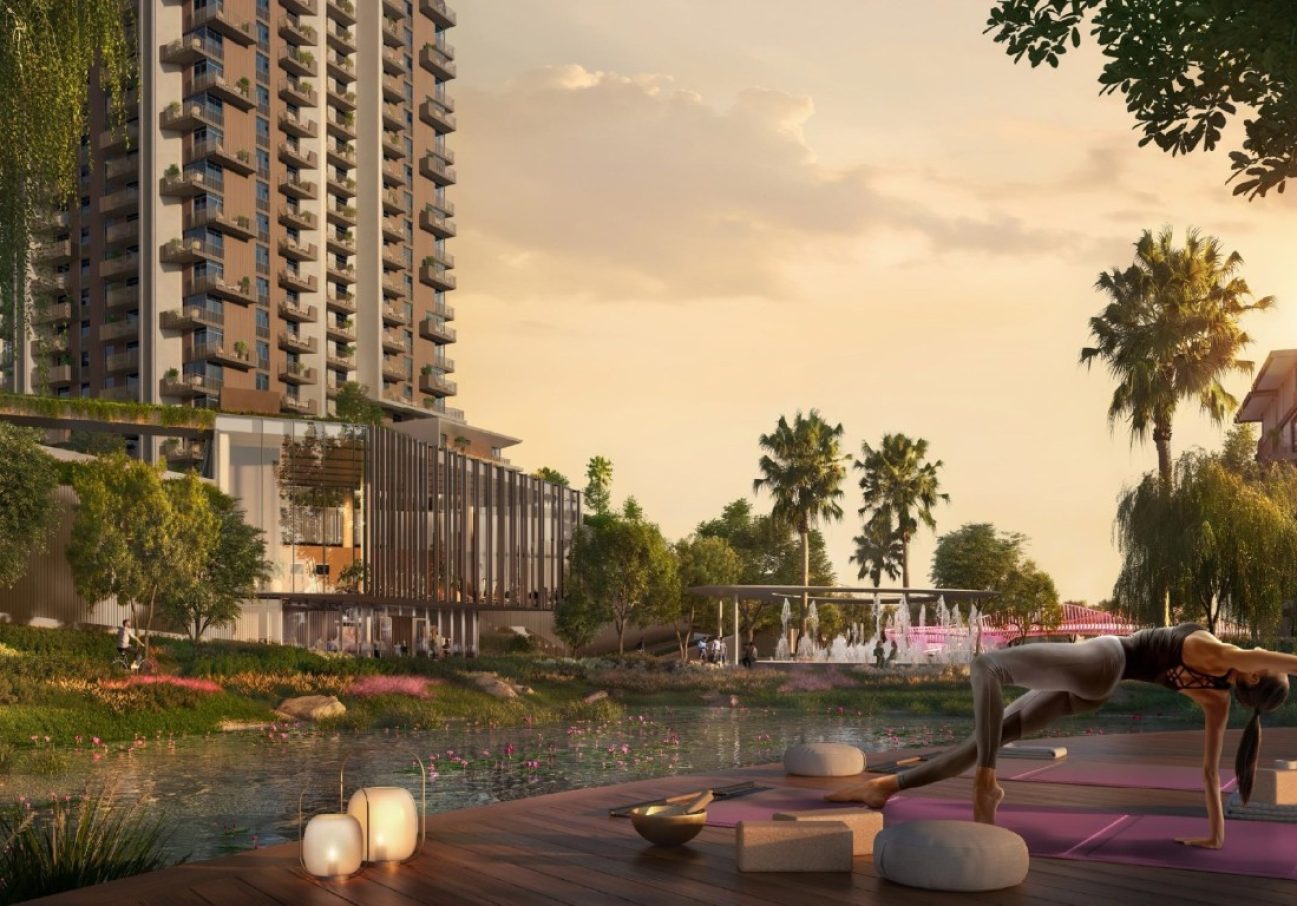 Asset 4 (Large) (Medium)